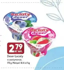 Avita Deser Łaciate jagodowy Mlekpol oferta