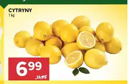 Stokrotka Cytryny oferta