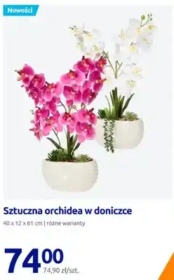 Action Sztuczna orchidea w doniczce 40x12x61 cm oferta