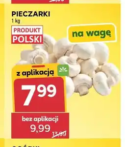 Stokrotka Pieczarki na wagę oferta