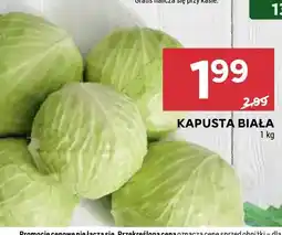 Stokrotka Kapusta biała oferta