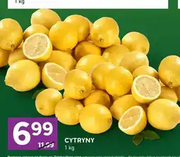 Stokrotka Cytryny oferta