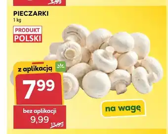 Stokrotka Pieczarki oferta
