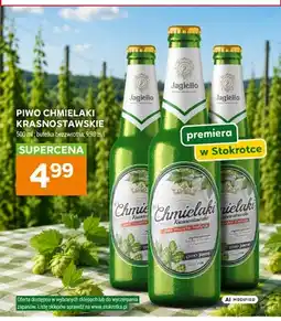 Stokrotka Piwo Jagiełło Chmielaki Krasnostawskie oferta
