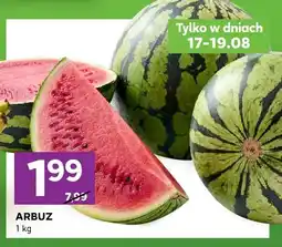 Stokrotka Arbuz oferta