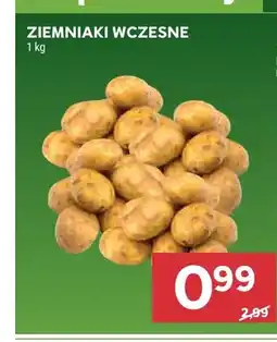 Stokrotka Ziemniaki wczesne oferta