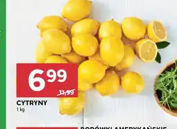 Stokrotka Cytryny oferta