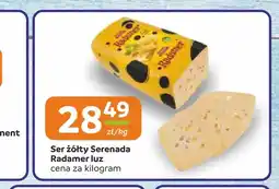 Gama Ser żółty Serenada Radamer luz oferta