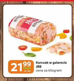 Gama Kurczak w galarecie JBB oferta