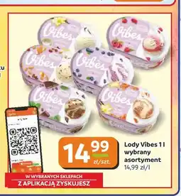 Gama Lody Vibes oferta