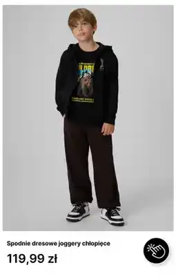 4F Spodnie dresowe joggery chłopięce oferta