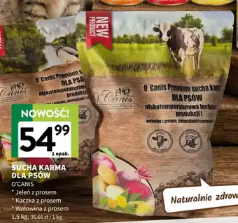 Sucha karma dla psów O'Canis wołowina z prosem