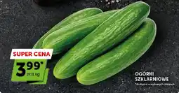 ABC Ogórki szklarniowe oferta