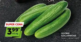 Ogórki szklarniowe