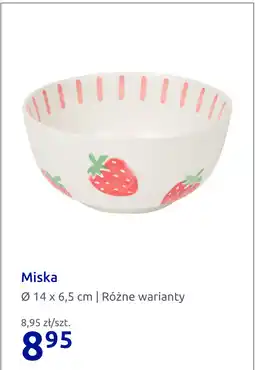 Action Miska oferta