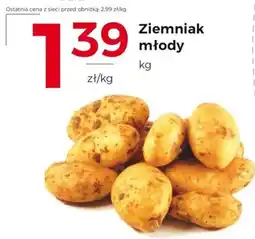 Frac Ziemniak młody oferta