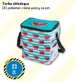Tedi Torba chłodząca oferta