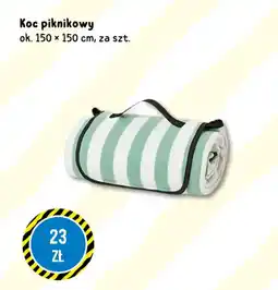 Tedi Koc piknikowy oferta