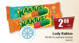Premium Nasz Sklep Lody Kaktus oferta