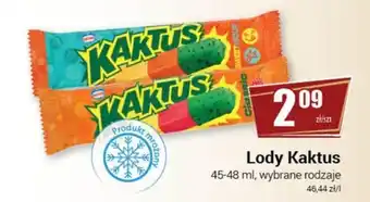 Lody Kaktus