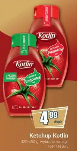 Premium Nasz Sklep Ketchup Kotlin oferta