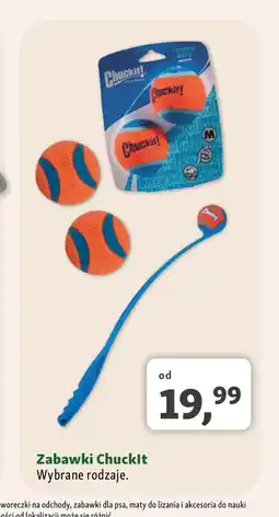 Maxi Zoo Zabawki dla psa oferta