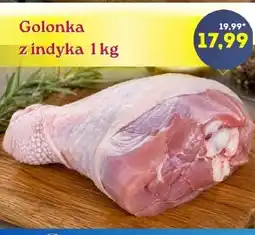 Hale Banacha Golonka oferta