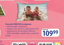 dm drogerie markt Poduszka Premium oferta