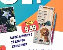 Hale Banacha Kredki ołówkowe oferta