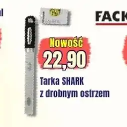 Hale Banacha Tarka Shark oferta