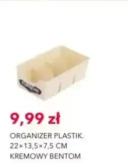 Nela Organizer plastikowy Bentom 22x13,5x7,5 cm oferta