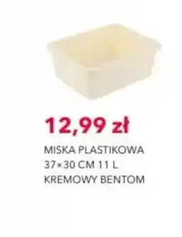Nela Miska plastikowa Bentom oferta
