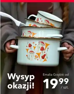 Nela Naczynia emaliowane Emalia Grzybki oferta