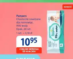 dm drogerie markt Chusteczki nawilżane dla niemowląt Pampers oferta