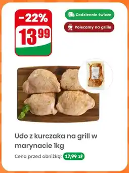 Dino Udo z kurczaka na grill w marynacie oferta