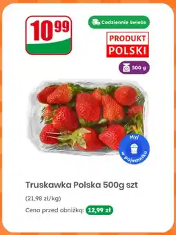 Dino Truskawka polska oferta