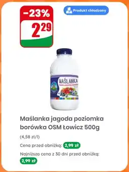 Dino Maślanka jagoda poziomka borówka OSM Łowicz oferta