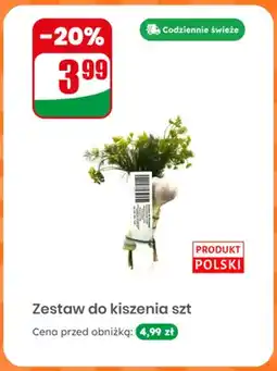 Dino Zestaw do kiszenia polski oferta
