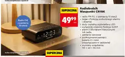 Biedronka Radiobudzik oferta
