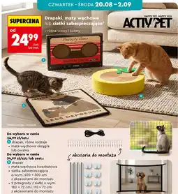 Biedronka ACTIV'PET Drapak, mata węchowa lub siatka zabezpieczająca oferta