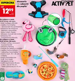 Biedronka Activ Pet Akcesoria lub zabawki dla pupila oferta