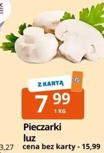 E.Leclerc Pieczarki luz oferta