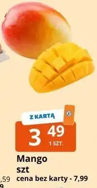 E.Leclerc Mango szt oferta