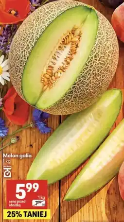 Delikatesy Centrum Melon galia oferta
