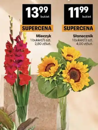 Delikatesy Centrum Mieczyk oferta