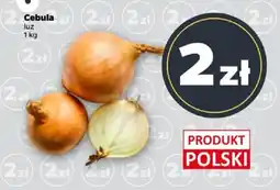 Netto Cebula luz oferta
