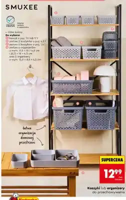 Biedronka Koszyk o pojemności 11 l Smukee oferta