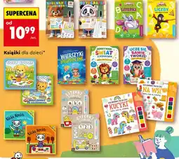 Biedronka Książka Ortografia oferta