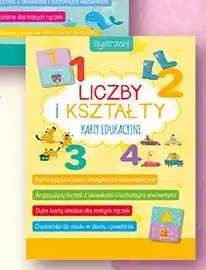 Biedronka Karty edukacyjne Liczby i kształty Bystrzaki oferta