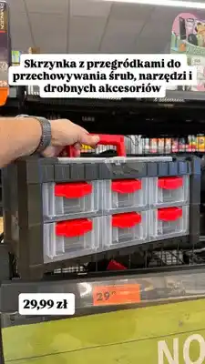 Biedronka Organizer warsztatowy z przegródkami oferta
